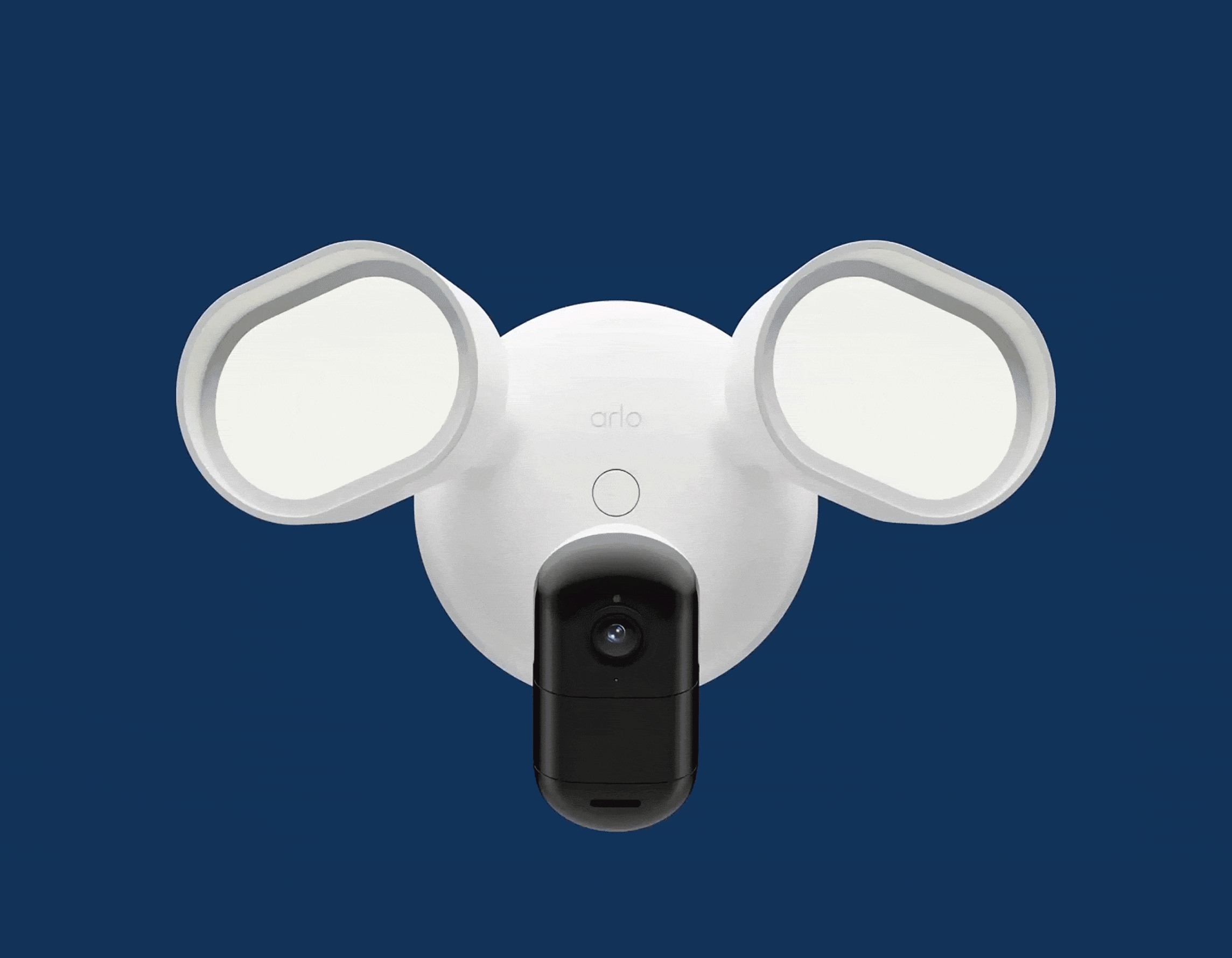 Manually adjust camera and floodlights to illuminate specific areas.